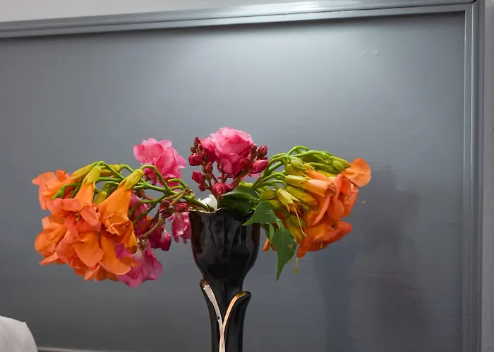 Апарт-отель Oleander 3*